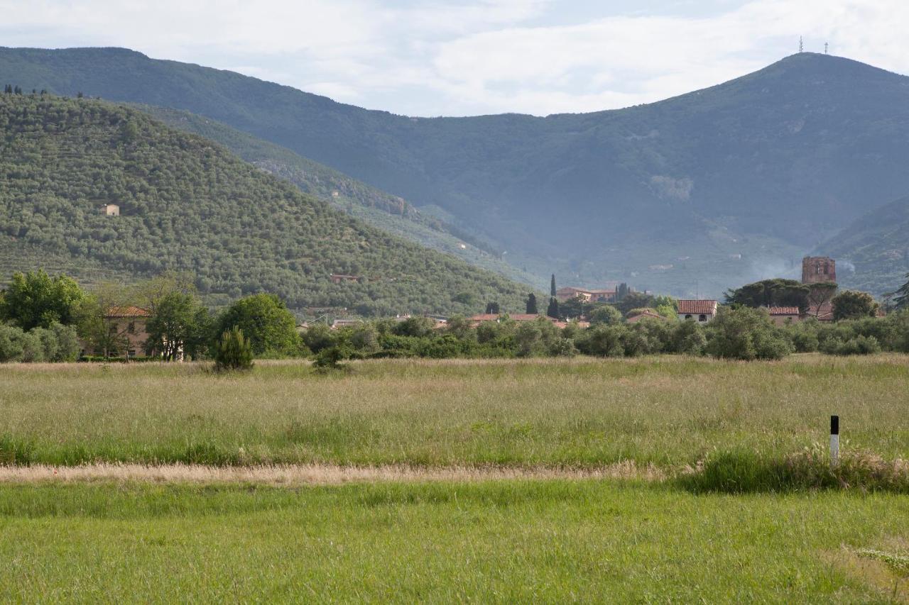 Agriturismo Villa Rosselmini Calci Exterior foto